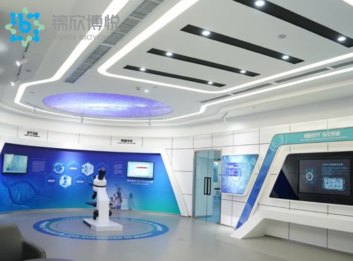 成功入庫(kù)國(guó)家項(xiàng)目，成都錦欣博悅加速技術(shù)創(chuàng)新與軟件開發(fā)布局